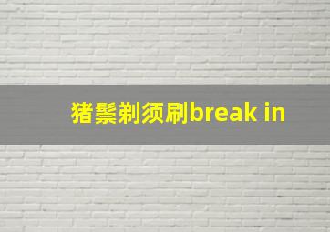 猪鬃剃须刷break in